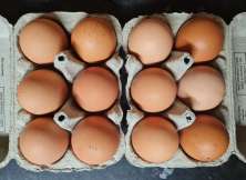 Dozen Free Range Eggs